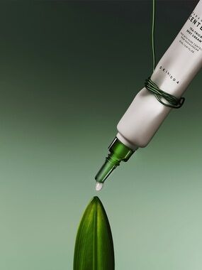 SKIN1004 Madagascar Centella Tea-Trica Spot Cream
